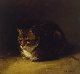 Studie av en katt, 1817